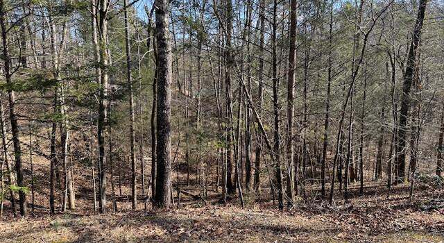 Photo of Laurel Trace Rd, Townsend, TN 37882