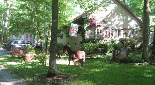Photo of 3464 Pilgrim Ln, Mascot, TN 37806