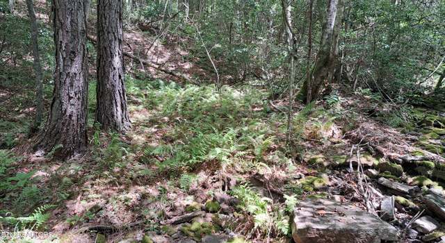 Photo of Airport Rd - Lot 18 (pca), Rockwood, TN 37854