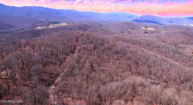 Photo of 2297 Shady Cove Rd, Caryville, TN 37714
