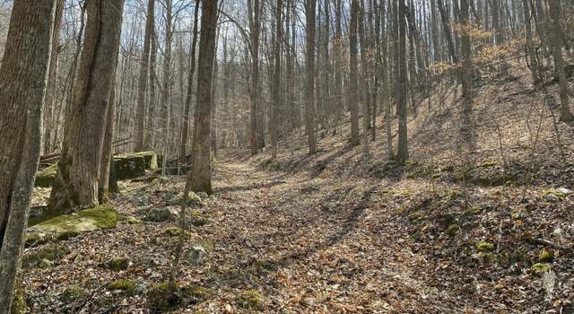 Photo of 2297 Shady Cove Rd, Caryville, TN 37714