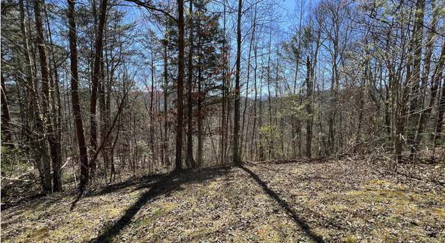 Photo of 219 Old Cove Rd, Walland, TN 37886