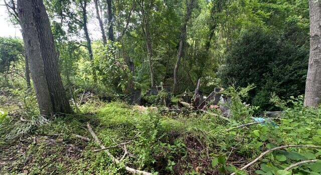 Photo of Gobble Dr, Rose Hill, VA 24281