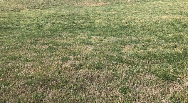 Photo of 4166 Harbor View Dr, Morristown, TN 37814