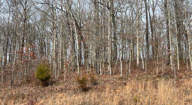 Photo of 519 Grande Vista Dr, Rockwood, TN 37854