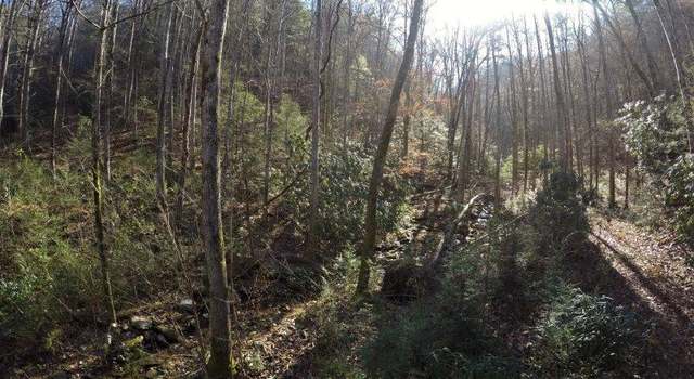 Photo of 303 Chestnut Valley Ln, Vonore, TN 37885