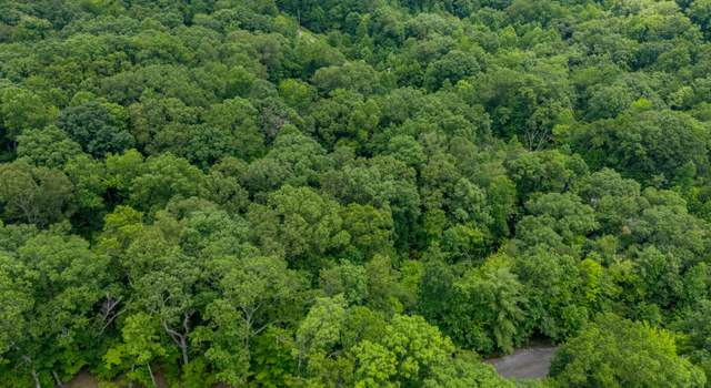 Photo of Crystal Springs Rd, Rockwood, TN 37854