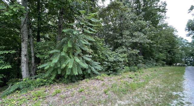 Photo of Lot 37 Pecan Tree Ln, Newport, TN 37821