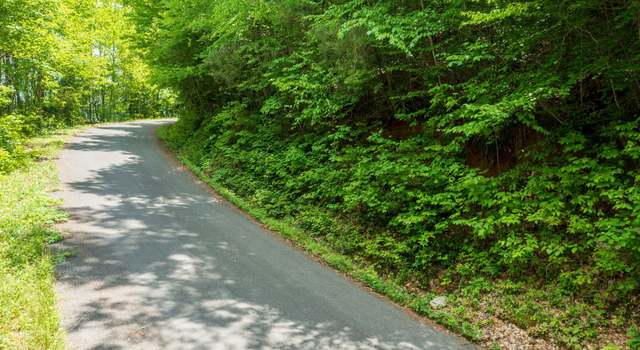 Photo of Running Bear Rd, Cosby, TN 37722