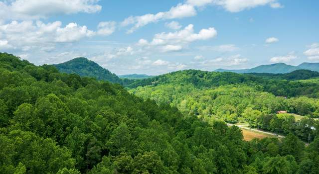 Photo of Running Bear Rd, Cosby, TN 37722