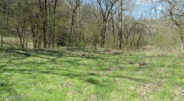 Photo of Lot 1 Baugh Hollow Rd, TN 38562