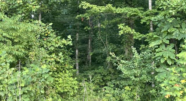 Photo of Summer City Rd, Spring City, TN 37381