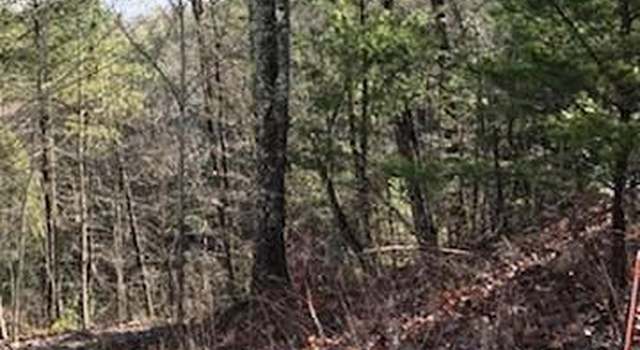 Photo of 00 Upper Towee Ln, Reliance, TN 37369