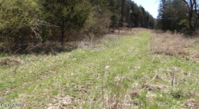 Photo of Lot 6 Baugh Hollow Rd, Gainesboro, TN 38562