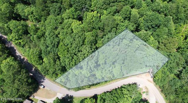Photo of Cove Point Rd, Lafollette, TN 37766