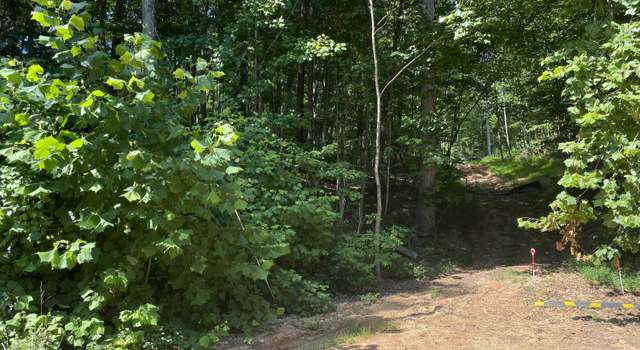 Photo of Cove Point Rd, Lafollette, TN 37766