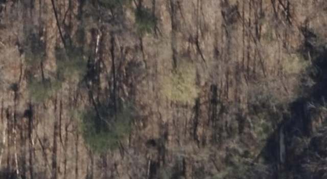 Photo of 139 Collins Gap Rd, Heiskell, TN 37754