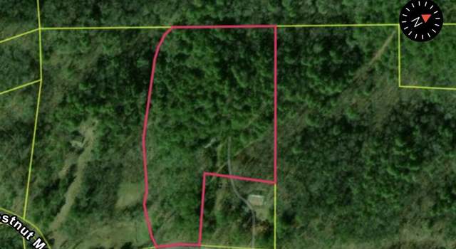 Photo of 803 Chestnut Mountain Rd, Reliance, TN 37369