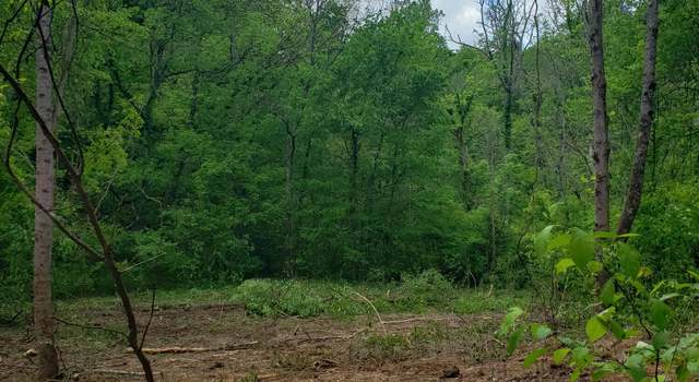 Photo of 397 Moore Hollow Rd, Newport, TN 37821