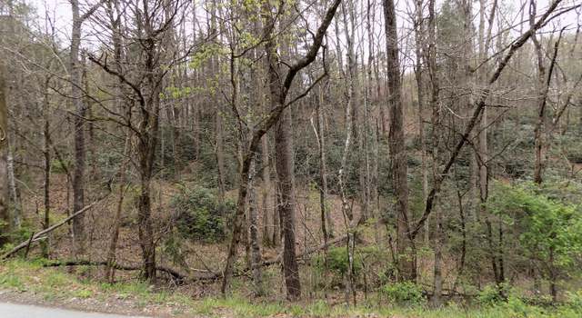 Photo of Lot 11 Deerfoot Rd, Cosby, TN 37722