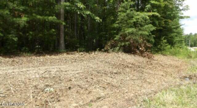 Photo of Lot 308 Hilltop Ln, Wilder, TN 38589