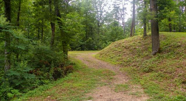 Photo of Dogwood Loop Dr, Sevierville, TN 37876