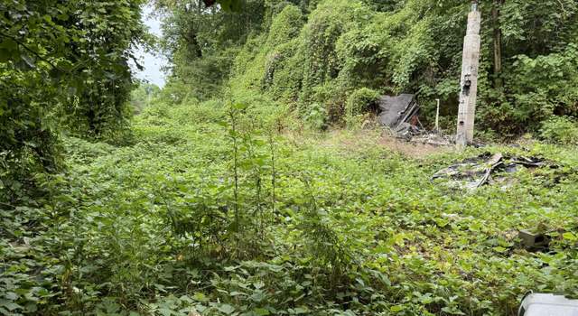 Photo of 229 Martin Hollow Rd, Harriman, TN 37748