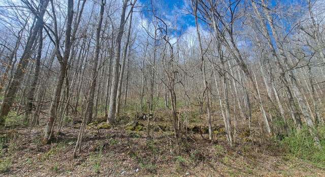 Photo of Jakes Branch Rd, Huntsville, TN 37756