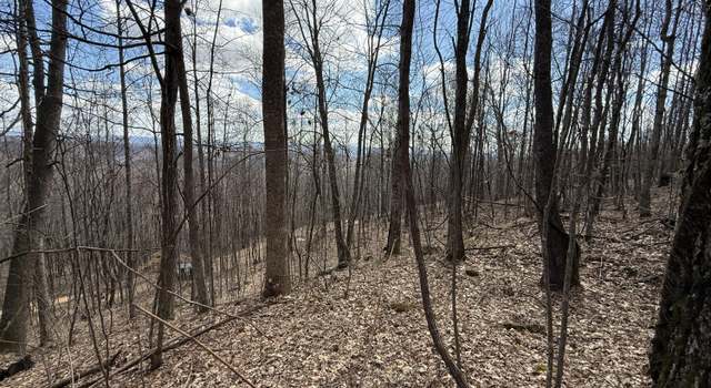 Photo of TBD Mountain Springs Rd, Rose Hill, VA 24281