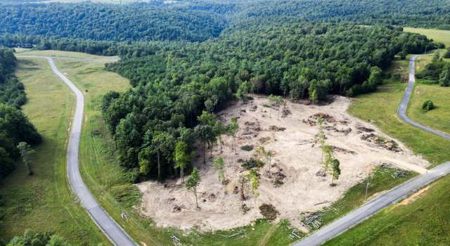 Photo of White Creek Dr, Deer Lodge, TN 37726