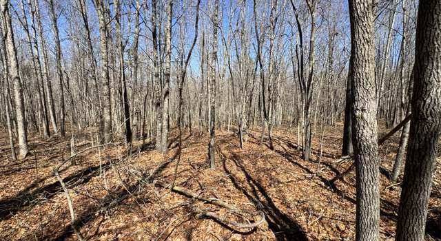 Photo of Veterans Lookout, Wilder, TN 38589