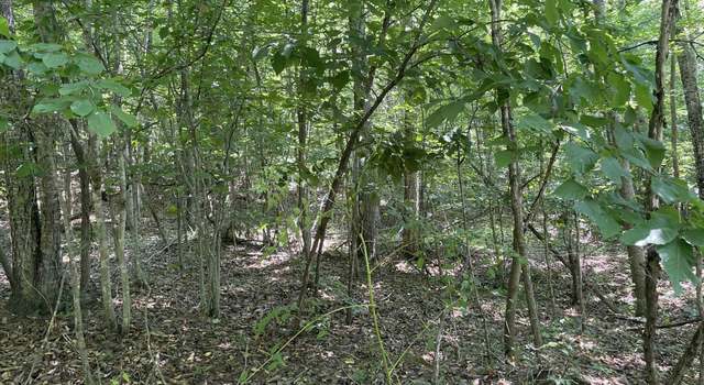 Photo of Lot 532 Whistle Valley Rd, New Tazewell, TN 37825