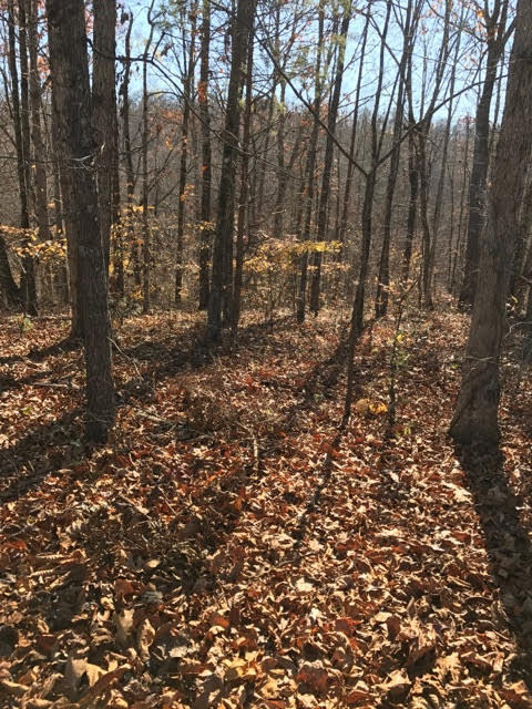 Vacant Land In Knoxville Tn 37918