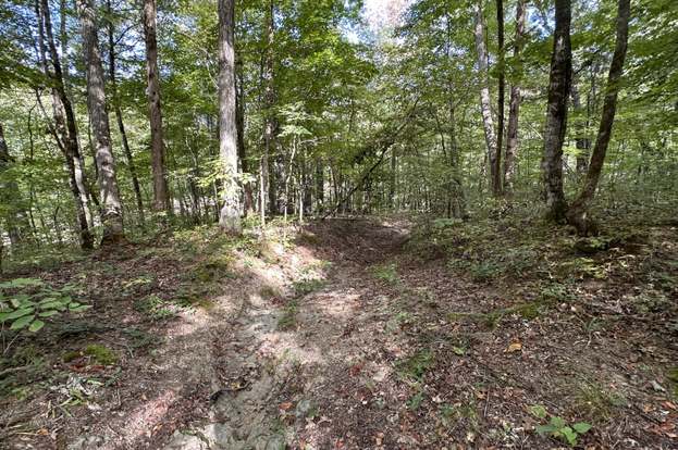 36.9 Acres Winningham Rd, Byrdstown, TN 38549 | MLS# 1247434 | Redfin