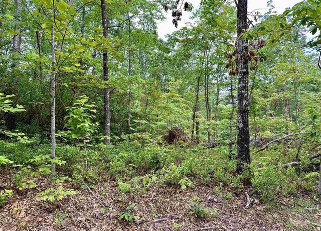 Property at 37 Danna View Ct, Marietta, SC 29661