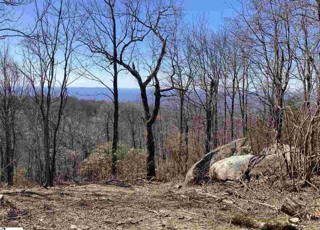 Property at Big Pine Rock Way Lot 33, Landrum, SC 29356