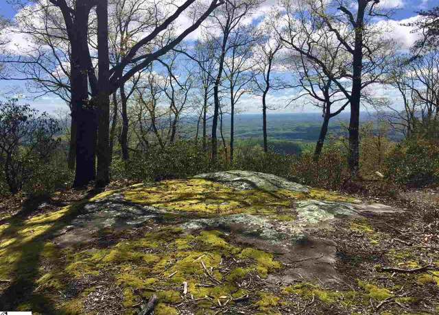 Property at 401 Stony Rd, Landrum, SC 29356