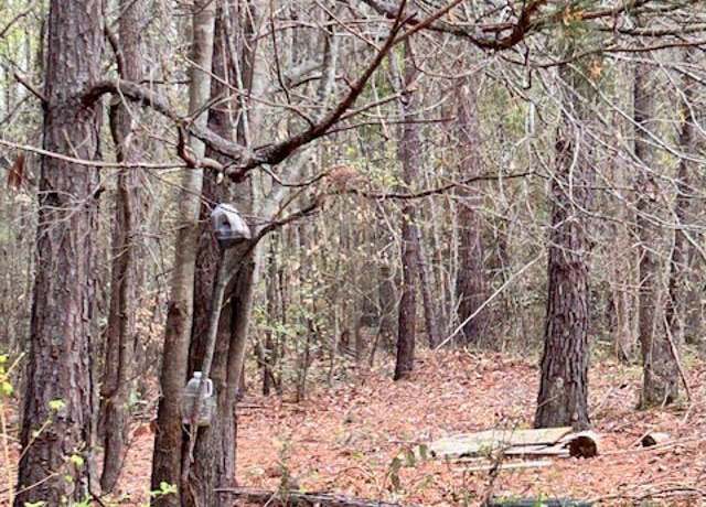 Property at 314A Tall Pines Rd, Fountain Inn, SC 29644
