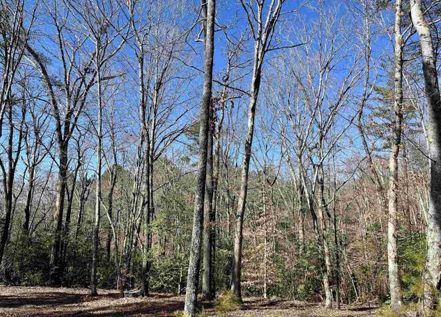 Property at 00 Landrum Creek Rd, Marietta, SC 29661