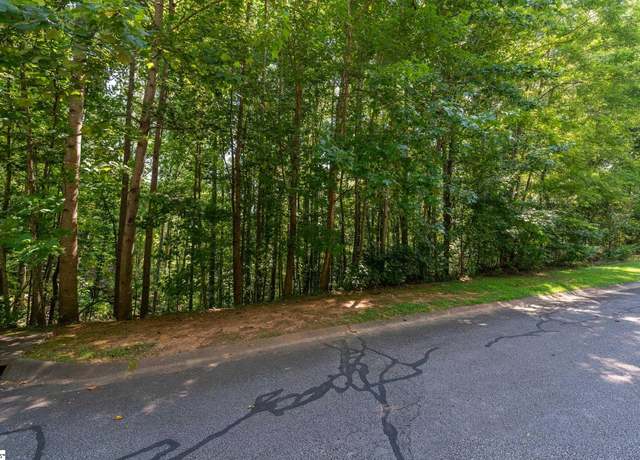 Property at 313 Laurel Valley Way, Travelers Rest, SC 29690