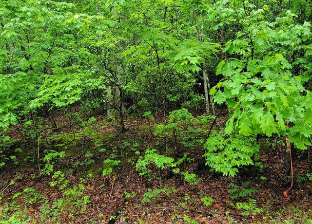Property at 000 Glendlyon Cir, Landrum, SC 29356