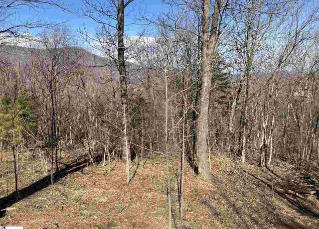 Property at 107 Hawk Knob Way, Landrum, SC 29356