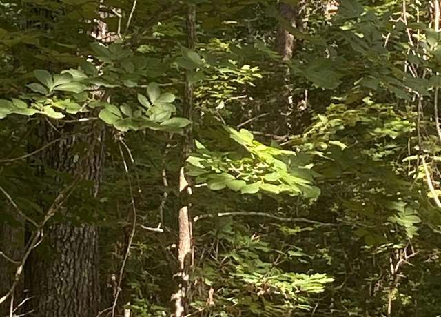 Property at 00 Windtree Ridge Rd, Pickens, SC 29671