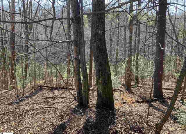 Property at 135 Morning Glory Way, Landrum, SC 29356