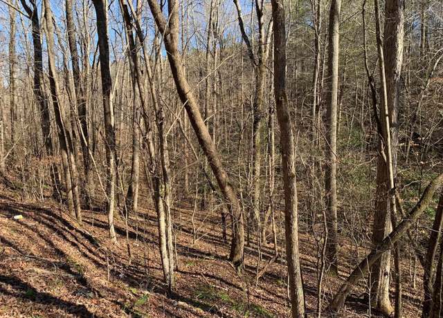 Property at 00 Saw Mill Rd, Marietta, SC 29661