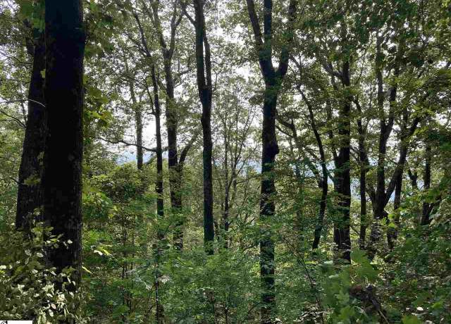 Property at Boulder Lookout Dr Lot 151, Landrum, SC 29356