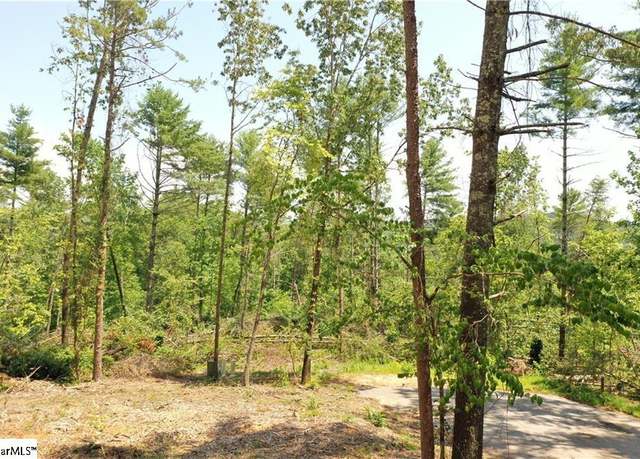 Property at 113 Sweetshrub Ct, Sunset, SC 29685