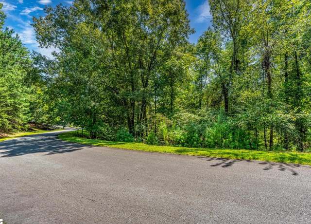 Property at 111 Sweetshrub Way, Sunset, SC 29685