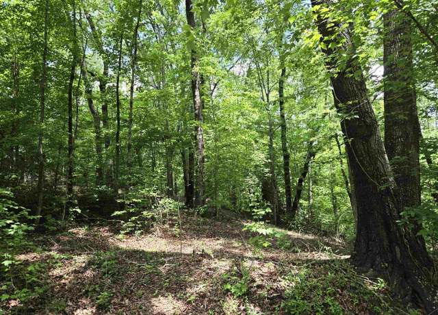 Property at 00 Ross Dr, Starr, SC 29684