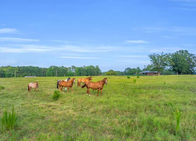 Property at 00 Docheno Rd, Belton, SC 29627